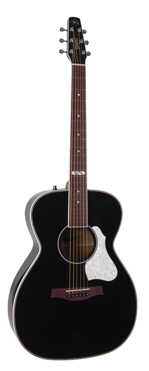 fender classic acoustic guitar