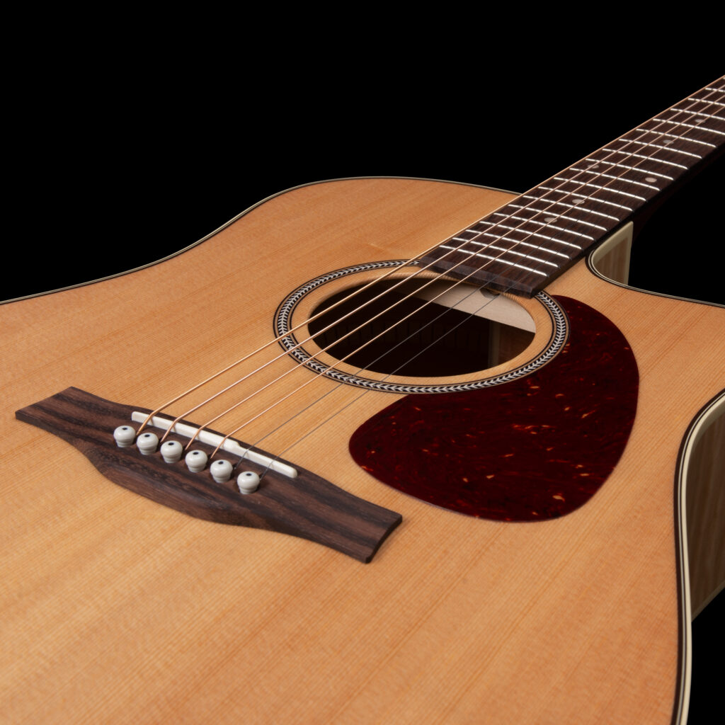 Performer CW HG Presys II | Seagull Guitars